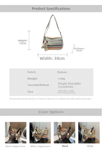 Size chart showing 30x17x10cm dimensions for rainbow woven straw crossbody bag