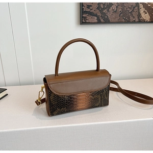 Detailed macro view of the brown gradient snakeskin texture and high-quality gold hardware
