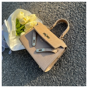 Detail view of beige crocodile embossed Kelly bag with golden turn-lock on asphalt