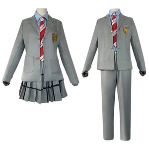 Japanse schooluniform cosplay set met grijze blazer, blauw shirt en gestreepte das