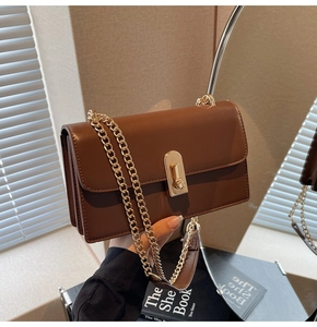 Detail of deep brown crossbody bag with gold chain strap and accordion side design