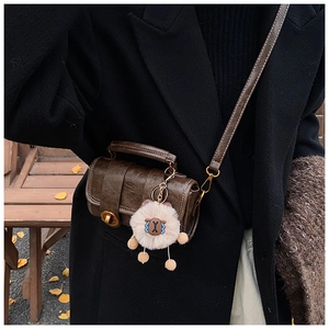Details der braunen Mini-Umhängetasche im Vintage-Stil mit goldener Schnalle