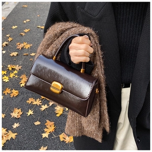 Dettaglio borsa in pelle lucida marrone scuro con trama vintage e fibbia dorata