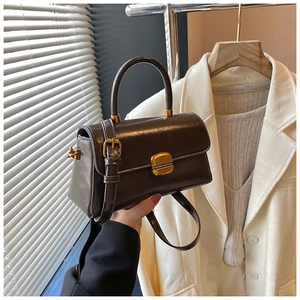 Dettaglio della piccola borsa vintage in pelle testa di moro con chiusura dorata lucida