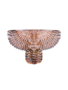 Detailed view of the realistic brown eagle feather pattern on lightweight bird wing cape