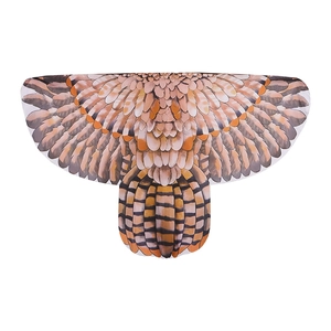 Bird wing cape with gradient owl feather pattern for Halloween cosplay and festivals