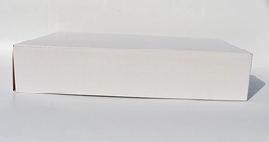 White rectangular corrugated shipping box for DIY Christmas village house kits