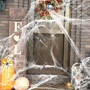 Detailed view of stretchable white spider web with black plastic spiders on a front door