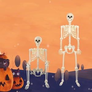 Lebensgroße 165 cm menschliche Skelettmodelle stehend und sitzend für Halloween-Deko