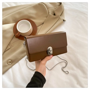 Detailed close-up of brown rectangular crossbody box bag with silver metal twist-lock