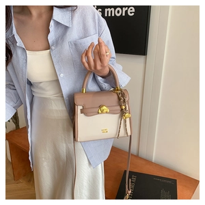 Detail of a beige and coffee crossbody bag featuring a golden dog-head relief buckle
