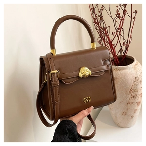 Detailed view of brown retro handbag featuring gold dog head buckle and smooth texture