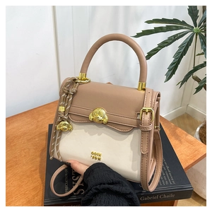 Detail of beige vintage crossbody bag featuring a golden puppy head buckle on a book