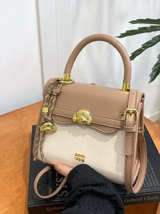 Vintage color-block crossbody bag with gold dog head buckle and woven pendant