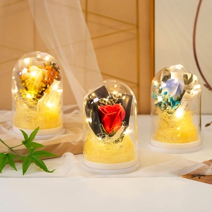 Preserved rose in glass dome with warm LED fairy lights for romantic gift decor