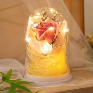Detail of pink preserved rose in glass dome with warm LED fairy lights and white base