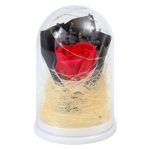Preserved red rose in a glass dome with LED lights on a white base for gifts