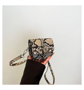 Detail of snake skin pattern handbag with silver metal buckle and spring strap