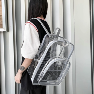 Detail view of transparent PVC backpack with grey straps and sturdy silver metal zippers