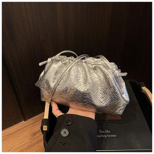 Detailed macro view of silver pleated dumpling bag with embossed python texture finish