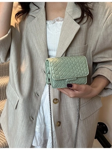 Mini mint green woven crossbody bag with silver chain strap shown on model in suit