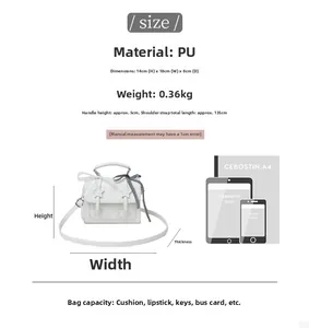 Detailed size chart for the mini square bag showing dimensions and storage capacity
