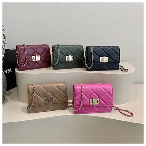Détails de petits sacs à main matelassés avec bandoulière chaîne en cinq couleurs
