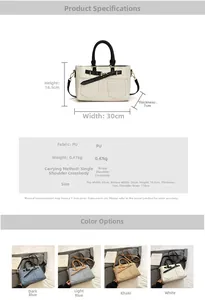 Infographic showing dimensions 30x18.5x7cm and four color options for the bucket bag