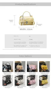 Detailed size specifications and color options for the minimalist square shoulder bag
