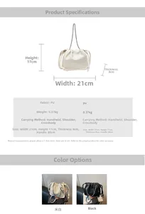 Detailed product dimensions and specifications for this pleated bucket chain shoulder bag