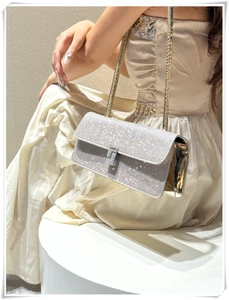 Detail of silver rhinestone evening bag with elegant gold chain worn by a model