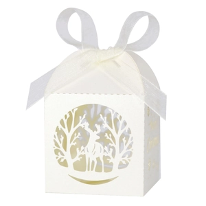 Détail boîte cadeau de Noël découpée au laser avec renne et ruban blanc élégant