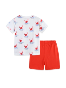 Boys Summer Cotton T-Shirt And Shorts Set Cartoon Crab Surfing Printed Casual Short Sleeve Outfit For Kids Children