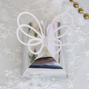 Detailed view of silver laser-cut butterfly candy box on elegant white lace background