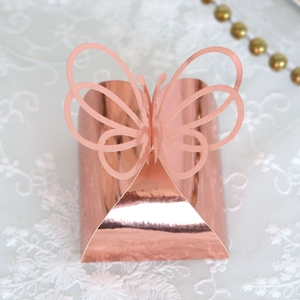 Detail of rose gold laser-cut butterfly gift box with shiny metallic mirror finish