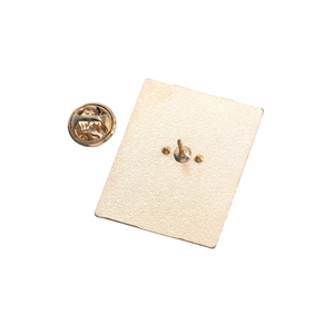 Detail view of the metal brooch back with golden textured finish and butterfly clasp