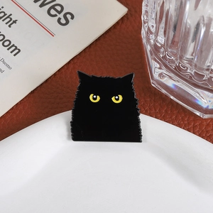 Spilla gatto nero in smalto con occhi gialli su piatto bianco con accessori eleganti