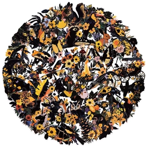 50pcs vintage animal and botanical PET stickers featuring raccoons and floral art
