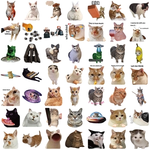 Lot de 50 autocollants de mèmes de chat drôles pour ordinateur et guitare, stickers étanches