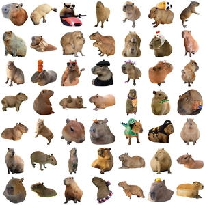Pack of 50 waterproof cartoon capybara stickers for laptop, guitar and luggage decoration