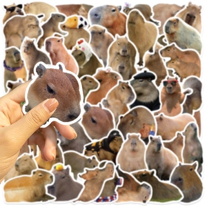 Détails d'autocollants capybara imperméables pour décorer ordinateurs et guitares