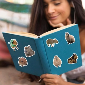 Gros plan d'autocollants capybara étanches sur un carnet bleu tenu en plein soleil