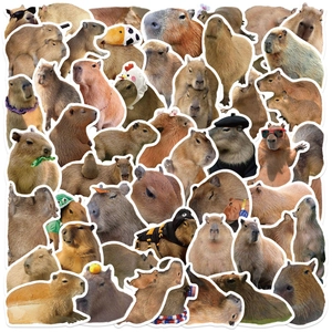 Autocollants Capybara Dessin Animé Imperméable Décalcomanies Animal Pour Ordinateur Bagages Guitare DIY Journal Pour Ados Adultes