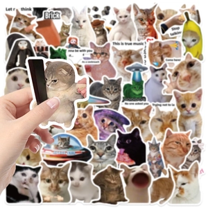 50 autocollants de chat graffiti imperméables pour décoration de pc et de guitare