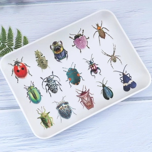 50 stuks realistische insecten PET-stickers voor kinderen met kleurrijke kever- en motmotieven