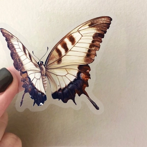 Gros plan d'un élégant autocollant papillon étanche pour loisirs créatifs et décoration