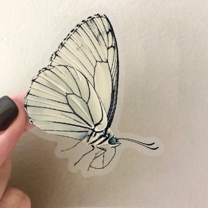 Gros plan d'autocollants papillons semi-transparents avec motifs de nervures noires