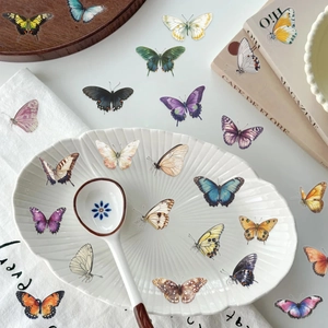 Autocollants papillon étanches élégants sur plat en porcelaine blanche et livres français