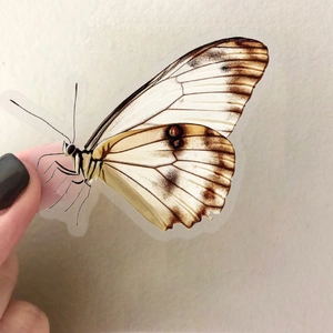 Autocollants papillon vintage en PET transparent imperméable pour décoration créative
