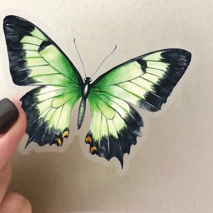 Gros plan d'un autocollant papillon aquarelle vert pour la décoration de journaux